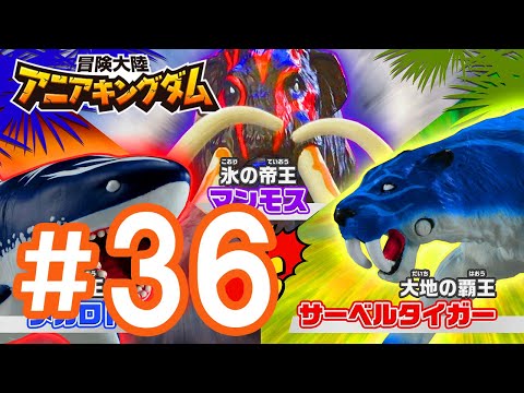 アニメ『冒険大陸 アニアキングダム』 第36話 「ハチャメチャ作戦会議」