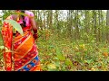 जंगल मे बिनी Ll Bini Vlog Family