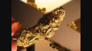 Good Dank by Wiz Khalifa