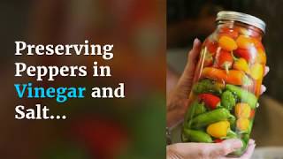 Preserving Peppers in Vinegar and Salt