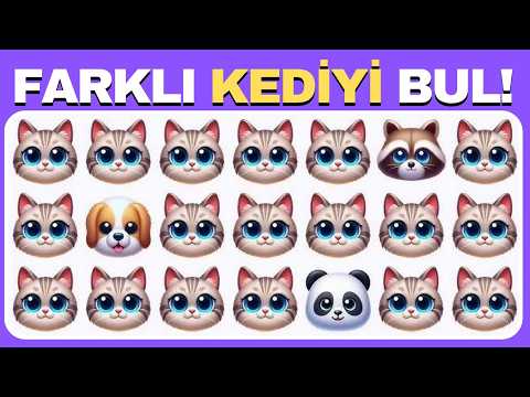Farklı Olanı Bul 🧠 Sevimli Hayvanlar Serisi 🐵🐶🐼 60 Kolay, Orta, Zor Seviye I Akıl Küpü Quiz!