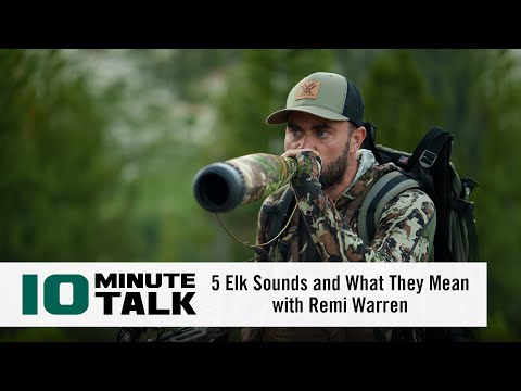 #10MinuteTalk - 5 Elk Sounds and What They Mean with Remi Warren