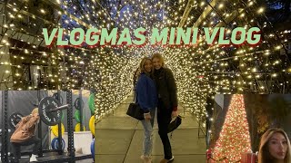 Mini Vlog: Shopping, Friends, and Gym