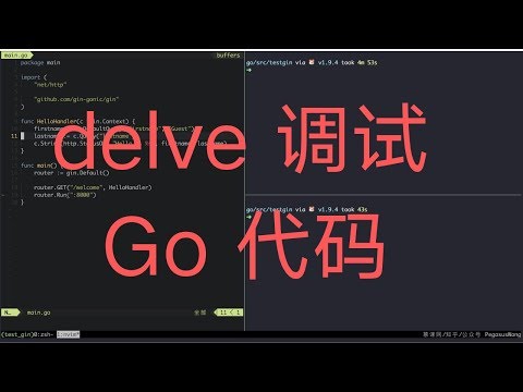 go delve debug调试