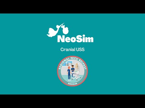 How to Perform a Neonatal Cranial USS