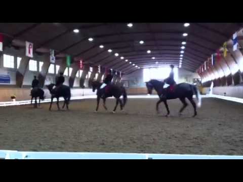 ZKV-Quadrille KRV Gäu