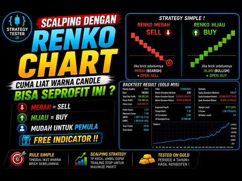 Video Renko Flow MT5