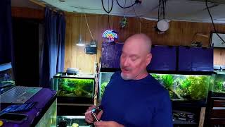 Sunday Fish N Hits w/ Dan