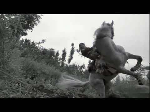 є̲̅м̲̅i̲̅и̲̅є̲̅м̲̅ ~ ft. NF~ The Beast ~ Bryan Thomas III - Stunt Reel