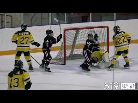 Under-12 Hockey - Waterloo Wolves vs Cambridge Hawks