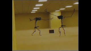 Entities dancing in Backrooms? (Found Footage)