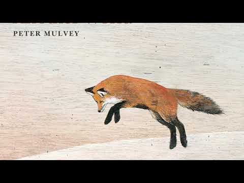 Peter Mulvey: Fool's Errand