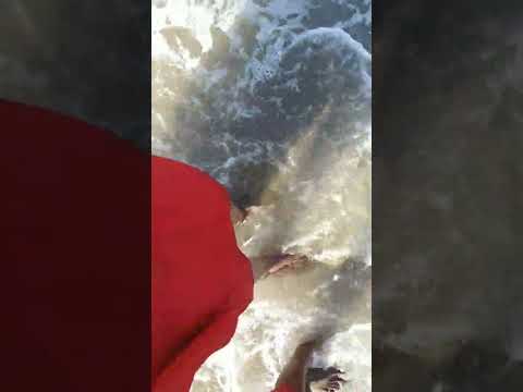 #Beach#Tamilnadu beach#Tourism videos