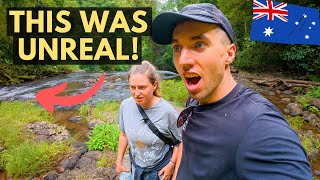 We Did Not Expect This... Tablelands Hidden Gems (Best Things To Do) Queensland, Australia 🇦🇺