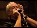 Charlie Musselwhite - Hey Miss Bessie