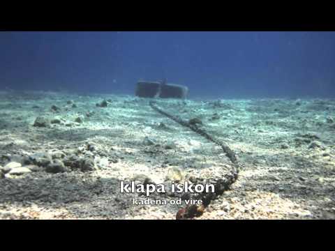 kadena od vire - klapa iskon