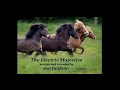 'THE ELECTRIC MAJESTICS' by Jon Galfano