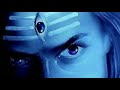 Shivam Shivam Status