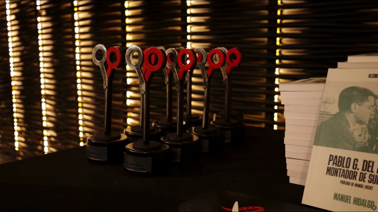 Premios AMAE - vídeo