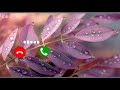Apke Pyar Me Hum Savarne Lage New Version Remix Ringtone Music