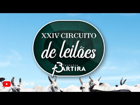 XXIV CIRCUITO DE LEILÕES FAZENDAS BARTIRA - CAMAPUÃ/MS - RURAL PLAY