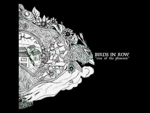 Birds in Row - Die Testosterone Die !