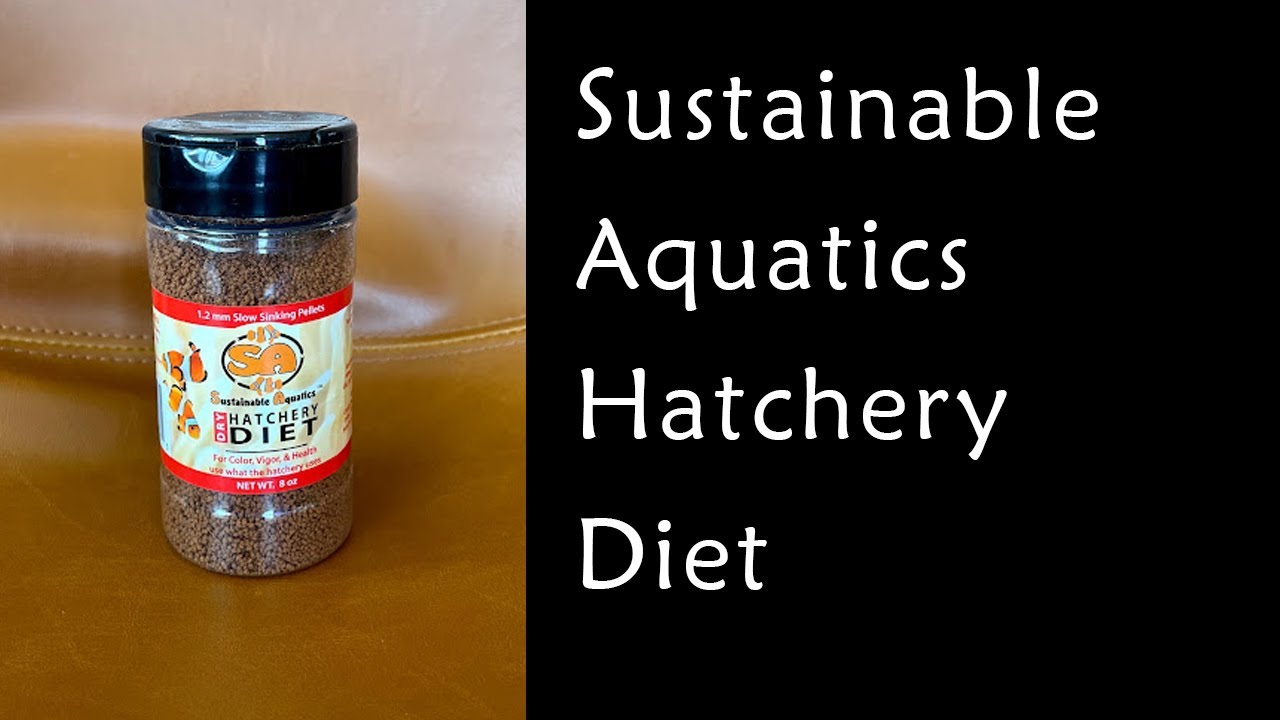 Our Tastiest Fish Food: Sustainable Aquatics Hatchery Diet