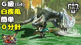 【MHXX】G4白疾風vsブレイヴヘビィ(HR12)