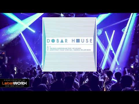 Tom Bug & Grooveline feat. Lee Wilson - Something's Takin' Over (Andrew Meller Remix)