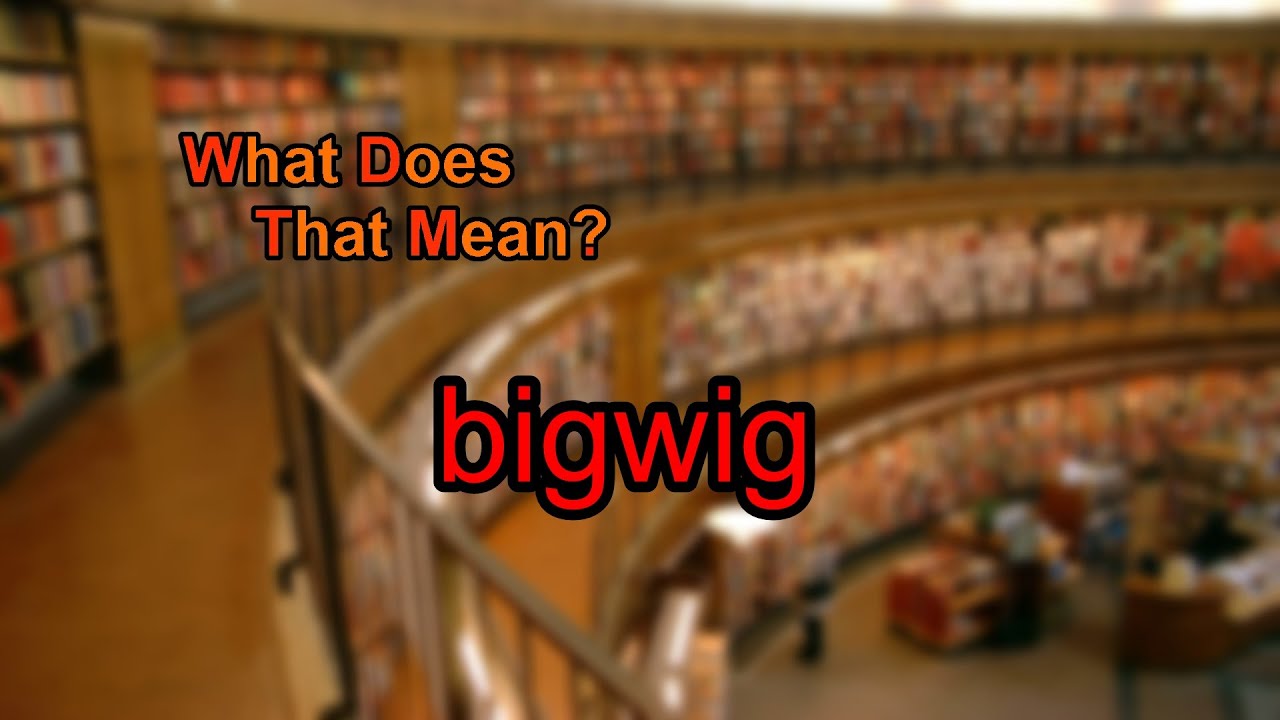 What does bigwig mean?