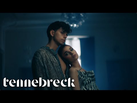 Tennebreck vs. Emilian feat. Theo Rose - De 3 zile nu am somn | Remix