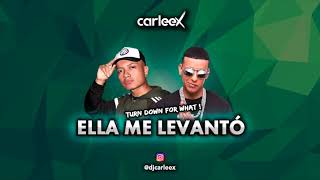 Ella Me Levantó (Turn down for what) (By CARLEEX)