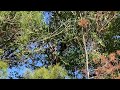 IMG 2181