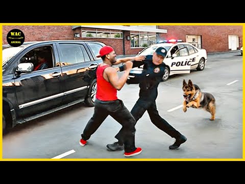 50 Hero Animals That Saved Human Lives #11 | Best moment of 2024!