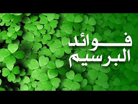 ما هي فوائد البرسيم ؟