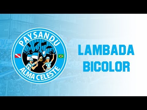 Banda Alma Celeste - Lambada Bicolor [PRÉVIA | MÚSICA NOVA]
