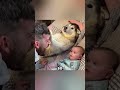 This Dog Acts Like The Babys Bodyguard ️