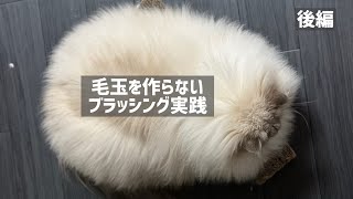 Attach YouTube