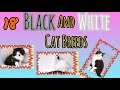 💕😸🐾UNBELIEVEABLE Cat Breeds, Beautiful Photos And Music | 18 Black And White Cat Breeds🐾🐾