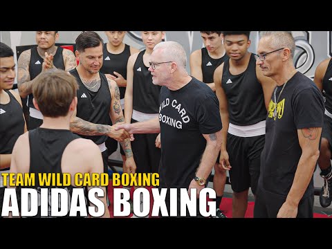 Team Wild Card Boxing - Adidas Boxing