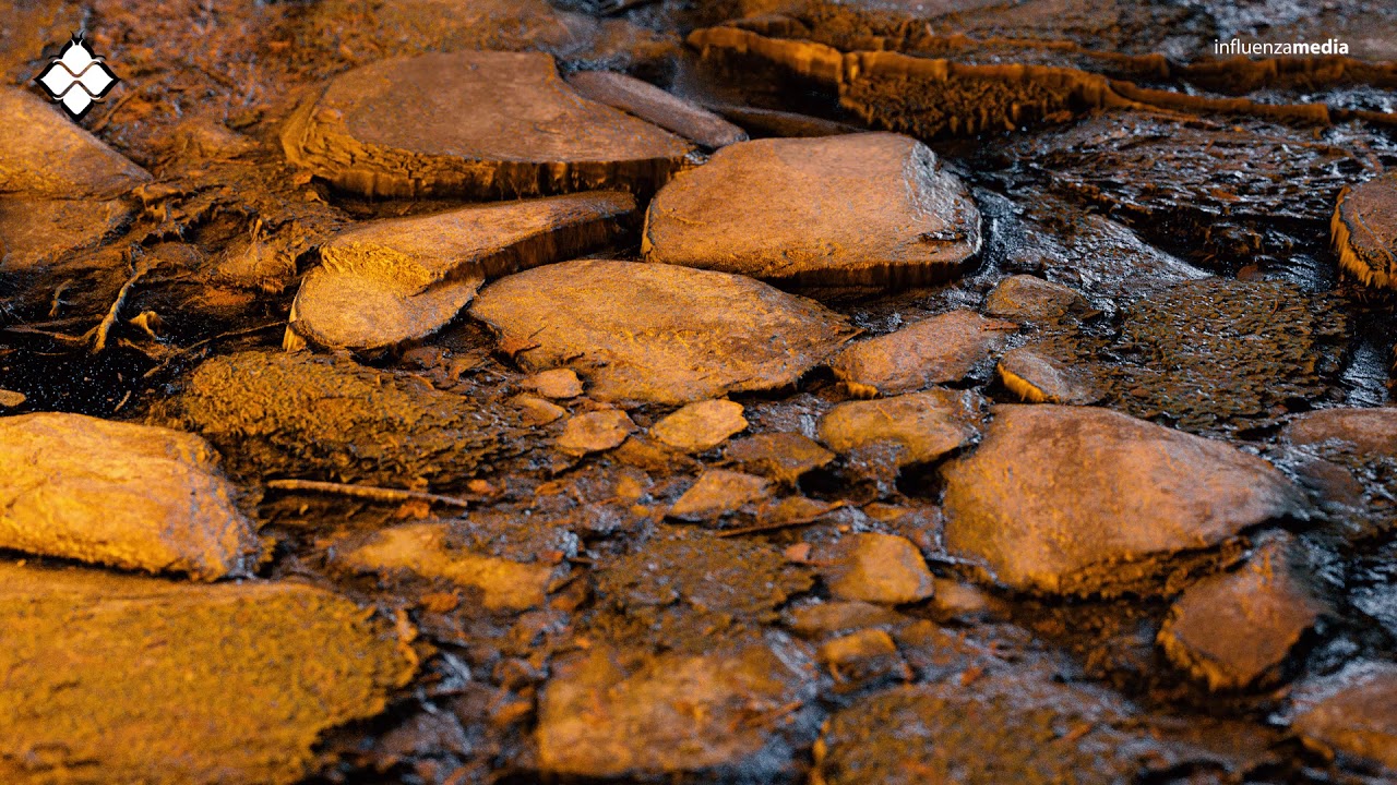 Liquid Memoirs - Summit