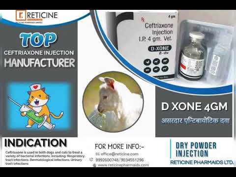 Cheleated calcium 5 ltr milk enhancer, for cattle, packaging...