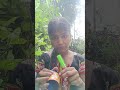 Shortsfeed Shorts Viral Funny Youtuber Top Omg Trending