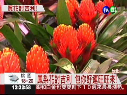 年花討吉利! 台北花市延長營業