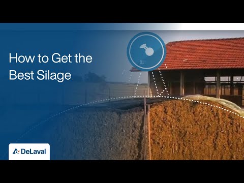 , title : 'Good Practices for Silage Production | How to Get the Best Silage | DeLaval'