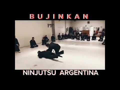 NINJUTSU ARGENTINA. Bujinkan Budō Taijutsu 武神館武道体術