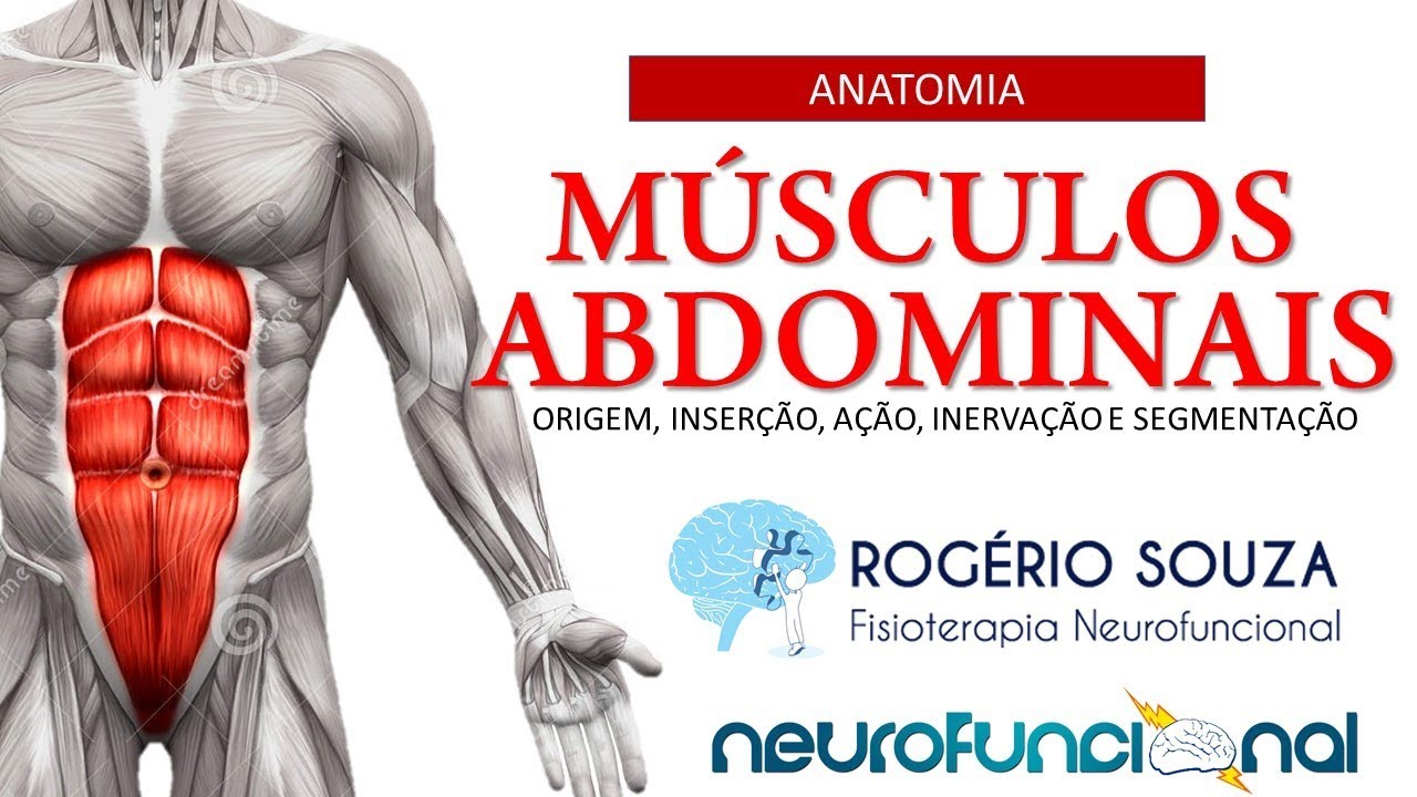 ANATOMIA DOS MÚSCULOS ABDOMINAIS (Origem, Inserção, Ação, inervação e Segmentação) - Rogério Souza