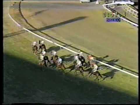 1995 San Domenico Stakes