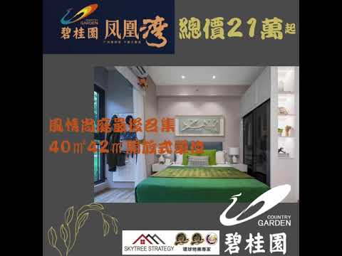 晴天環球物業 順德容桂碧桂園-鳳凰灣🥳 $0團購費😍超級熱情瘋狂銷情現在最後一批🍎只售21万人民幣起🤩 限量🎨 Skytree Strategy