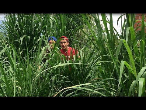 LOS FINQUEROS - LOS MANTECOS